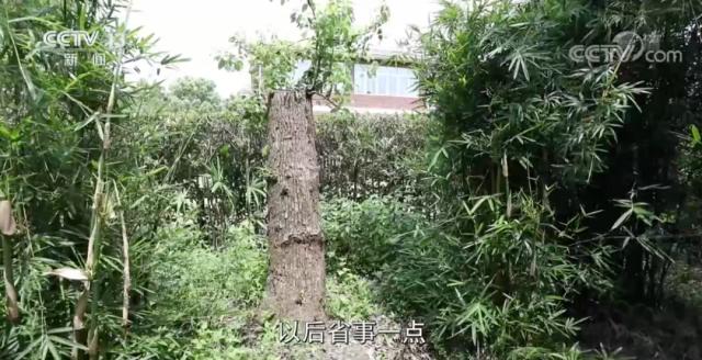 女子穿和服做核酸檢測(cè)遭勸阻，必須“換了衣服再來(lái)”？